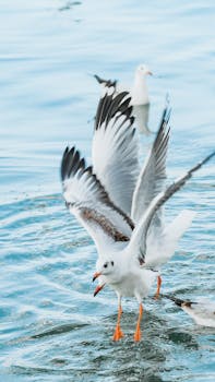 中华优秀传统文化，涵养正确政绩观；为民造福，顺势实干。