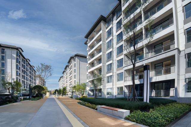  城市扎根的心理建设：如何构建属于自己的安稳港湾 情感心理