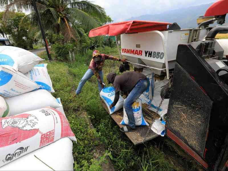 农业资源调控指南:化肥短缺下的系统性生存法则 情感心理