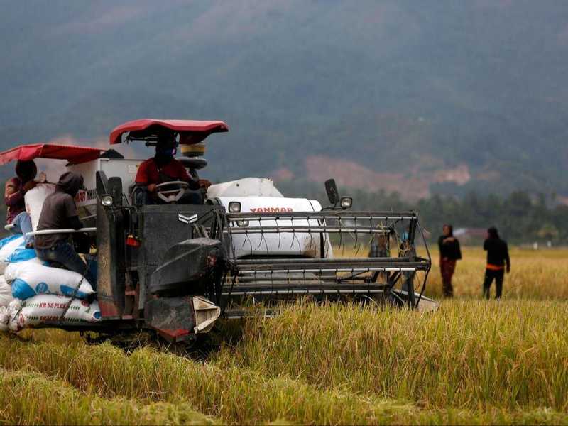 农业资源调控指南:化肥短缺下的系统性生存法则 情感心理