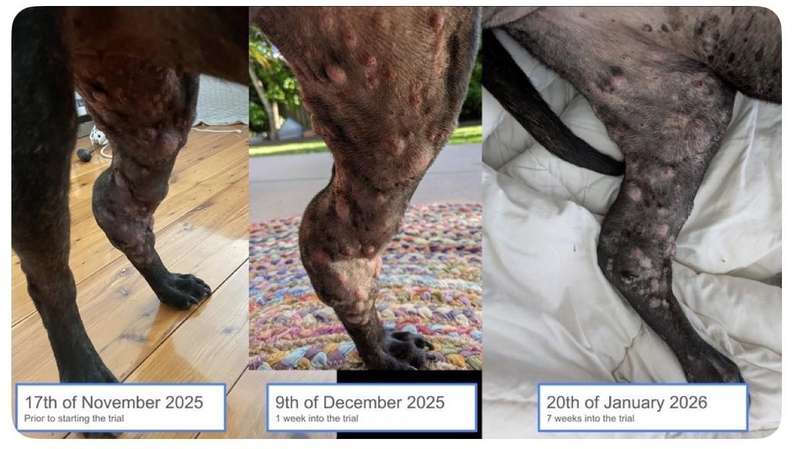 屏幕背后的沉默:当一代人失去真实世界的拥抱 情感心理