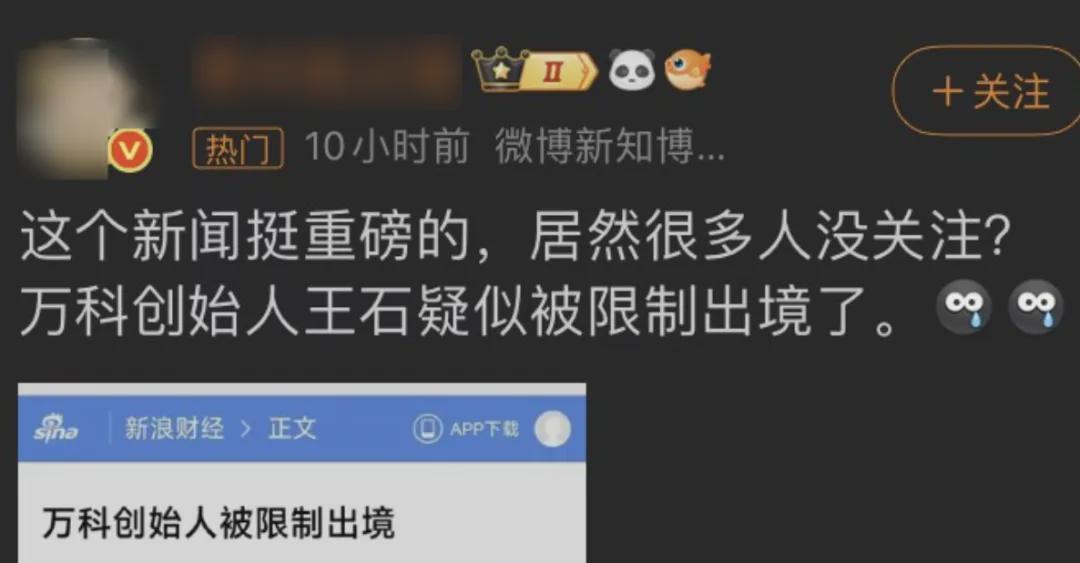  王石“出境受限”传闻背后的深层逻辑：房地产风险出清的标志性信号 股票财经