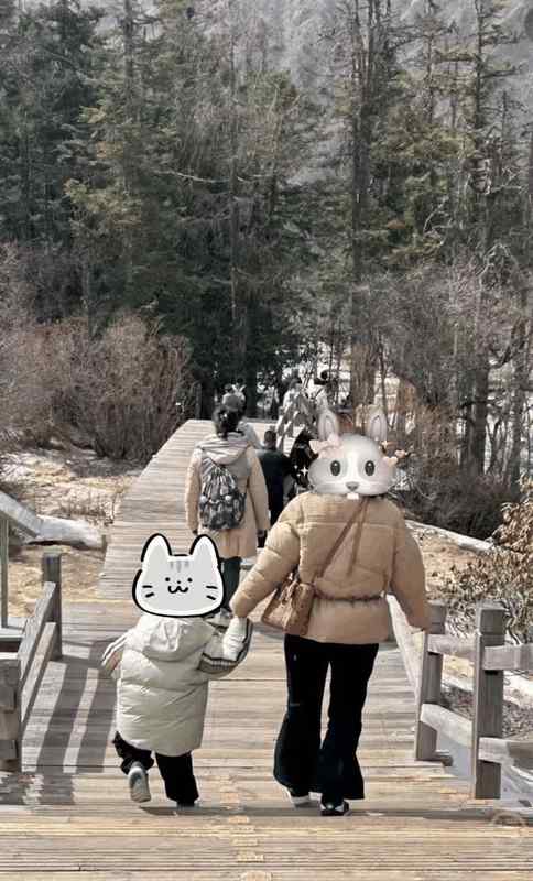 技术视角下的黄龙事件:钙化池生态脆弱性与景区管理悖论深度剖析 新闻