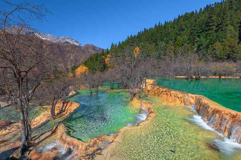技术视角下的黄龙事件:钙化池生态脆弱性与景区管理悖论深度剖析 新闻