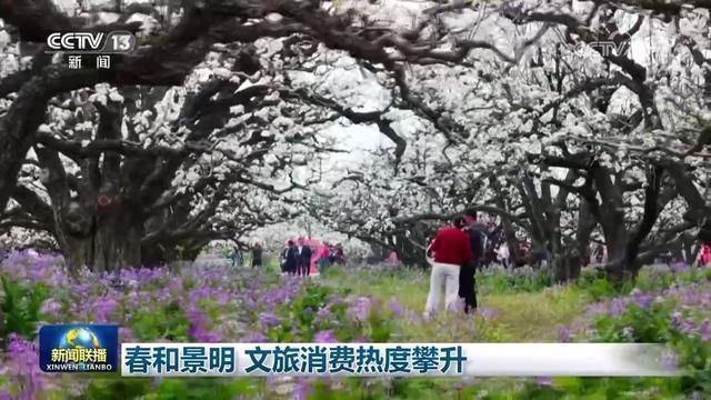  [文旅数字化洞察] 清明假期消费攀升背后的数据逻辑与技术驱动力 文化旅游