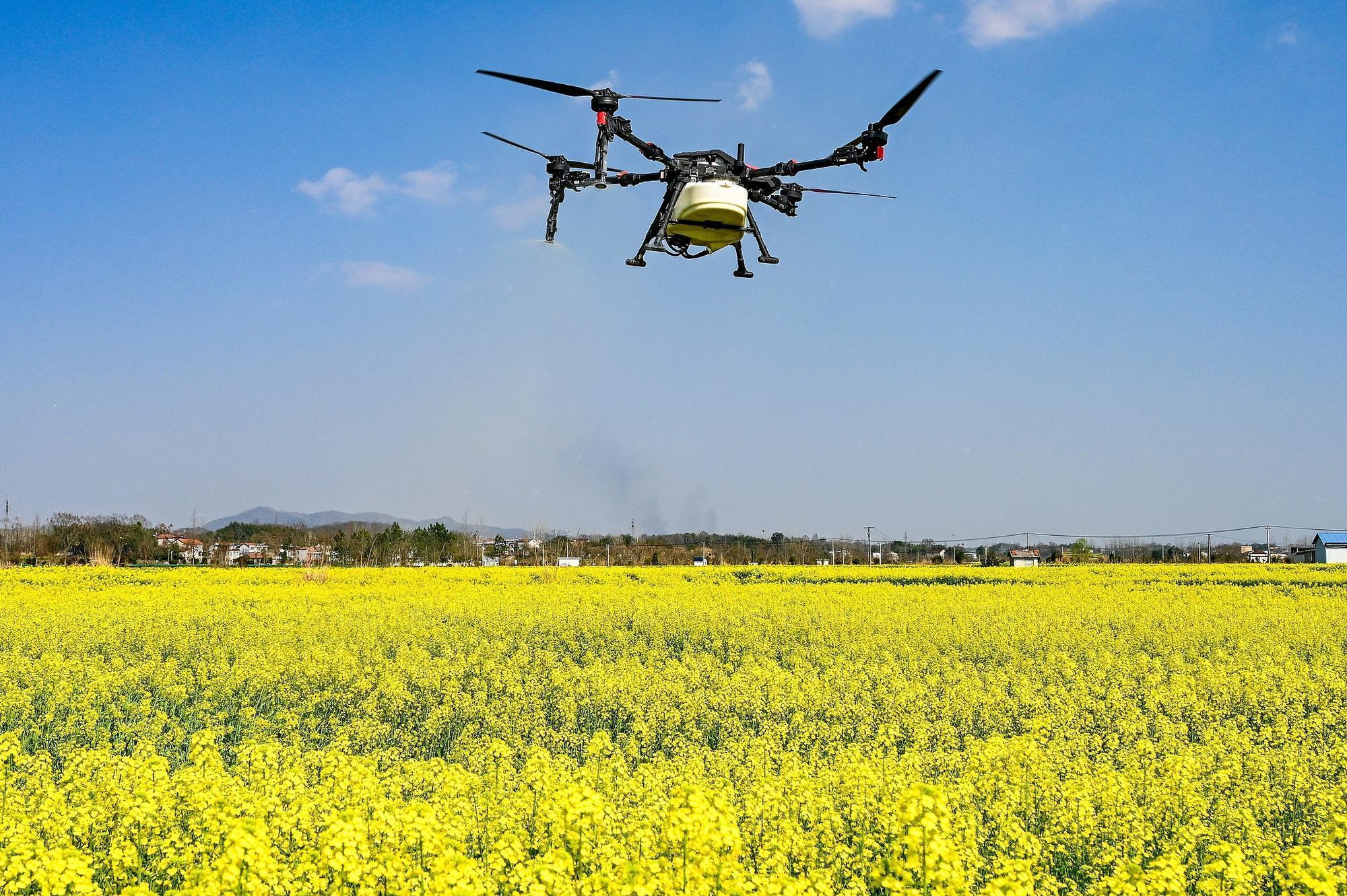  从F1引擎轰鸣到茶山春芽：解码中国服务业扩能提质的技术底座与产业逻辑 新闻