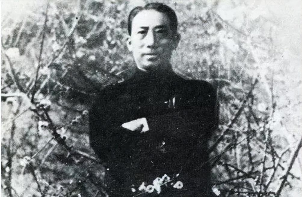  从权力巅峰到坠机殒命：戴笠之死的深层权力逻辑解析 新闻