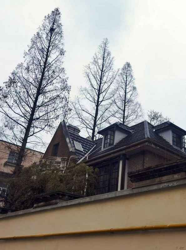  【英雄往事】那个咖啡馆里的诀别：77年前他们为信仰付出一切 情感心理