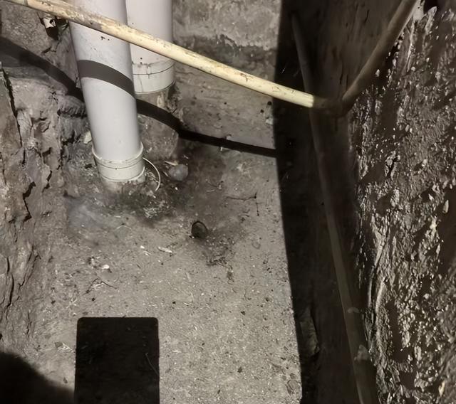  二手房交易欺诈认定与责任边界：基于排污管道渗漏纠纷案的技术解构 房产家居