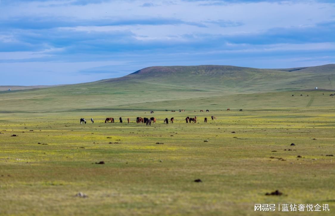 呼和浩特银发游全攻略：4天3晚无购物行程设计与地接社筛选方法论