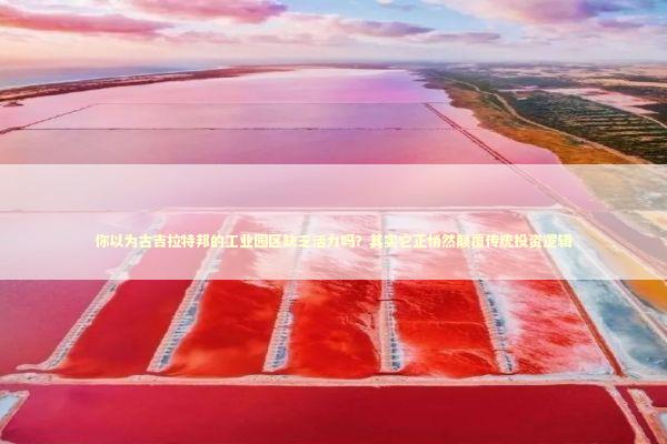 你以为古吉拉特邦的工业园区缺乏活力吗？其实它正悄然颠覆传统投资逻辑 新闻