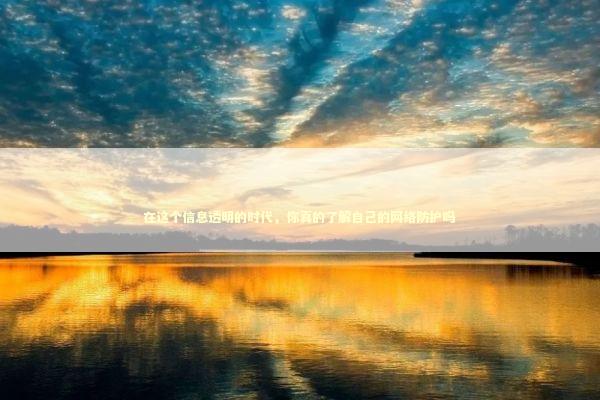 在这个信息透明的时代，你真的了解自己的网络防护吗 IT技术