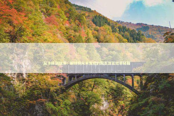 从卡顿到丝滑：解锁你从未发现的网页浏览效率秘籍 IT技术