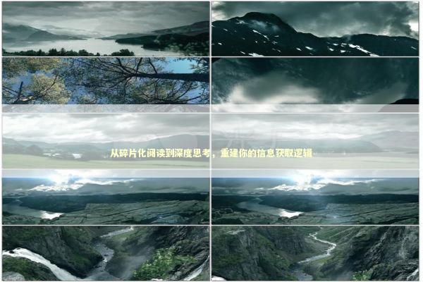 从碎片化阅读到深度思考,重建你的信息获取逻辑 从碎片化阅读到深度思考,重建你的信息获取逻辑 情感心理