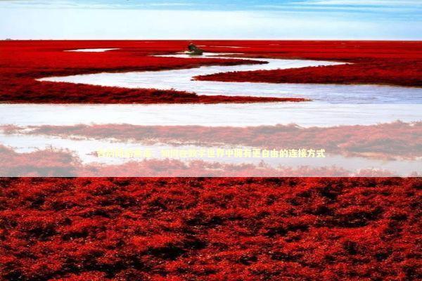 告别网络焦虑：如何在数字世界中拥有更自由的连接方式 IT技术