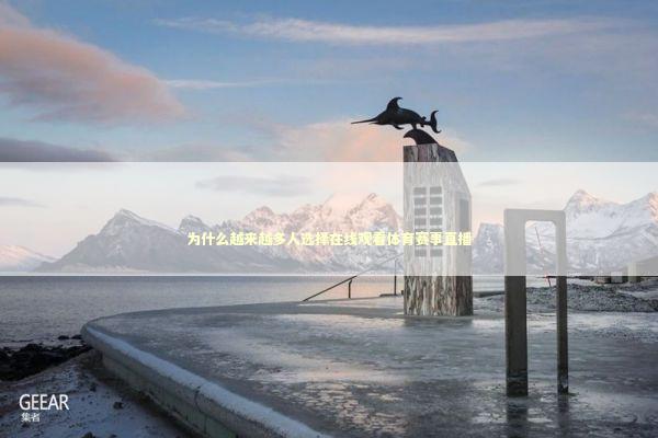 为什么越来越多人选择在线观看体育赛事直播 体育新闻