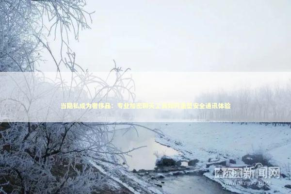 当隐私成为奢侈品：专业加密聊天工具如何重塑安全通讯体验 IT技术