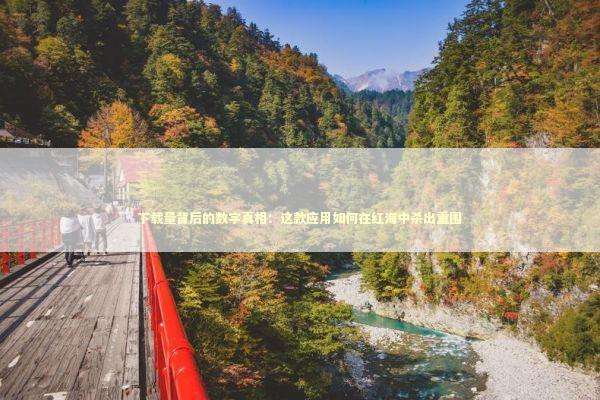 下载量背后的数字真相：这款应用如何在红海中杀出重围 IT技术