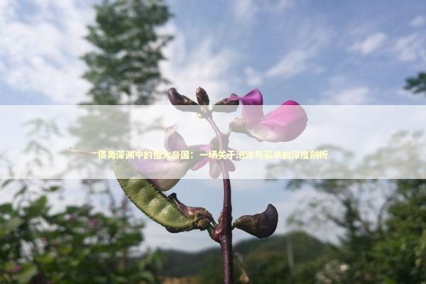 债务深渊中的恒大帝国：一场关于泡沫与买单的深度剖析 新闻