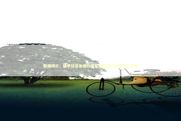 数据揭示：德甲球员市场价值五年翻倍背后的深层逻辑 体育新闻