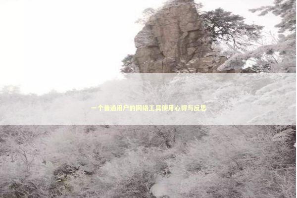 一个普通用户的网络工具使用心得与反思 IT技术