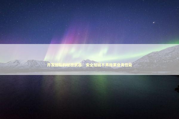 开发团队的秘密武器：安全加固不再拖累业务性能 IT技术